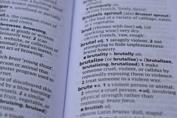 Obraz premium Definition Of English Dictionary Close Up Of Page With Word - brutalize