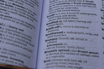 Obraz premium Definition Of English Dictionary Close Up Of Page With Word - brush-off