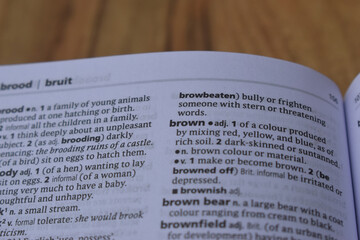 Fototapeta premium English Dictionary Page Close Up With The Word Meaning Of -brown