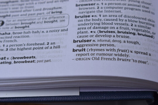 English Dictionary Page Close Up With The Word Meaning Of -bruit
