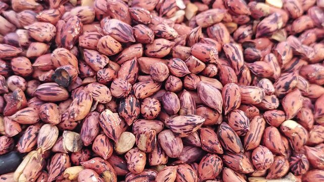 Roasted peanuts