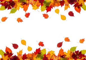Vibrant autumn leaves falling a colorful border at the top bottom, isolated on transparent background