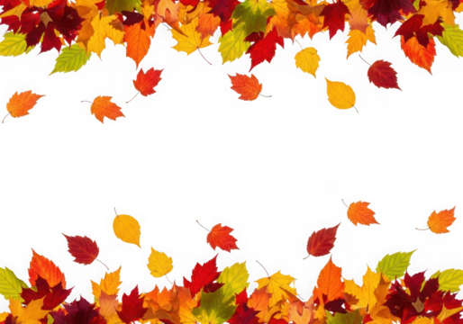 Vibrant autumn leaves falling a colorful border at the top bottom, isolated on transparent background