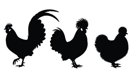 Silhouettes of three roosters and a hen a farm animal illustration