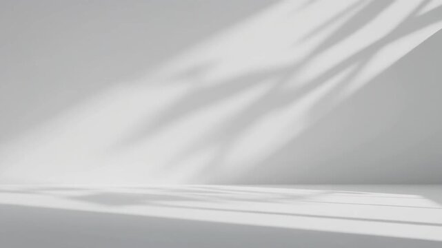 Minimalist white space with tropical leaf shadows, perfect for creative design projects