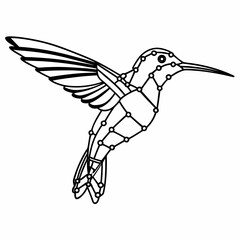 Geometric hummingbird line art with connected dots