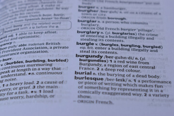 Fototapeta premium English Dictionary Page Close Up With The Word Of -burgundy