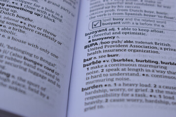 Obraz premium Definition Of English Dictionary Close Up Of Page With Word - bur
