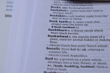 Definition Of English Dictionary Close Up Of Page With Word - buckwheat