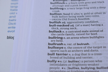 Close Up Of English Definition Dictionary Page Word Of - bullock