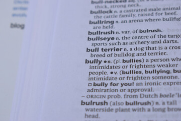 Close Up Of English Definition Dictionary Page Word Of - bully