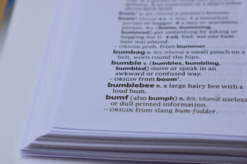 Close Up Of English Definition Dictionary Page Word Of - bumf