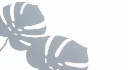 Soft Monstera Shadows on White: Tropical Minimalist Background