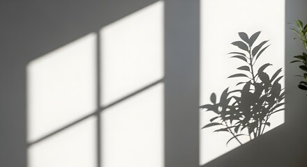 Morning Sunlight Play: Window and Plant Shadows Aesthetic