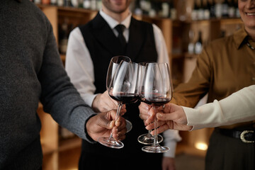 Diverse group of young adult and middle aged men and women clinking wine glasses during wine tasting, hands holding glasses with red wine, shelves with bottles in background