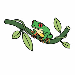 Vibrant red eyed tree frog perched on a leafy branch.