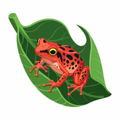 Vibrant Red Frog Resting on a Lush Green Leaf.