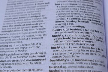 Definition Of English Dictionary Close Up Of Page With Word - bush