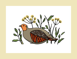 Vector card with hand drawn Grey Partridge among blooming wildflowers and grass. Ink drawing, decorative graphic style. Beautiful wildlife design elements.