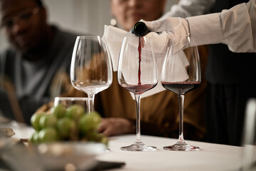 Diverse group of middle aged adults participating in wine tasting session, sommelier pouring red wine into glass, empty and filled glasses on table, green grapes in foreground