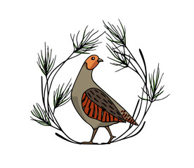 Vector card with hand drawn cute Grey Partridge  in graceful pine wreath. Beautiful animal design elements, ink drawing, logo template