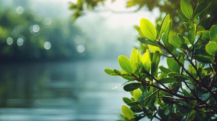 Fototapeta premium Green leaves and water landscape