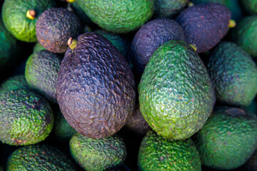 close-up pile of fresh avocados showing their rough textured skin in shades of green and dark purple, highlighting the natural color variation and surface detail of the fruit