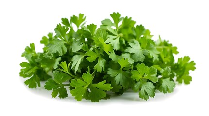 Obraz premium Bunch of parsley, Parsley isolated on white background