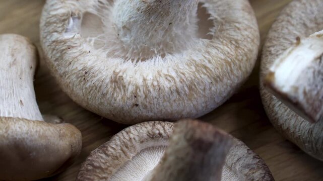 Detailed Macro of Shiitake Mushrooms (Lentinula edodes) on Wooden Board, focusing on Gills Texture and Stem for Culinary or Mycology Education.