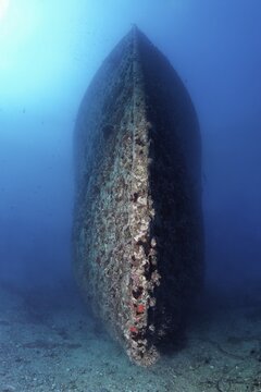 Hull, bow SS Turkia, wreck, shipwreck, British, steamship, sunk 17.05.1941, Second World War, from the front, frontal, overgrown, overgrown, crusted, Red Sea, Gulf of Suez, Egypt