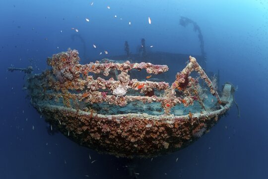 Rosalie Moller wreck, shipwreck, British, stern, sunk in World War II on 08.10, 1941 by two German bombers Heinkel He 111, northeast of El Gouna, Red Sea, Egypt