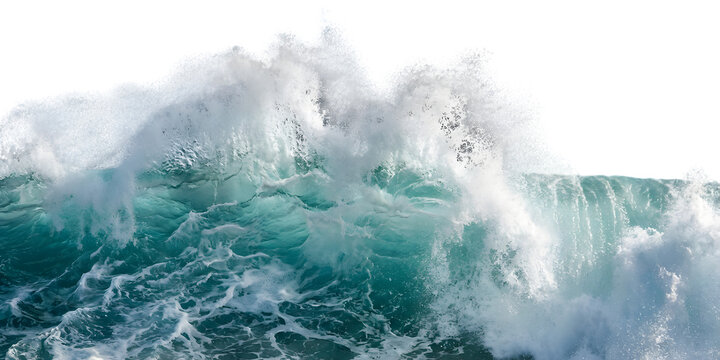 Turbulent ocean waves with foam motion