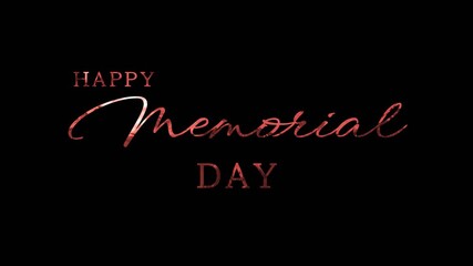 Happy memorial day Red, silver, blue, green. Animation. Great for use on Memorial Day event in United States. 4K animated footage.
 - Powered by Adobe