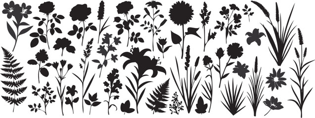 Silhouette of various flowers and plants isolated on white background, including roses, lilies, ferns, and grasses in a botanical arrangement © Faija