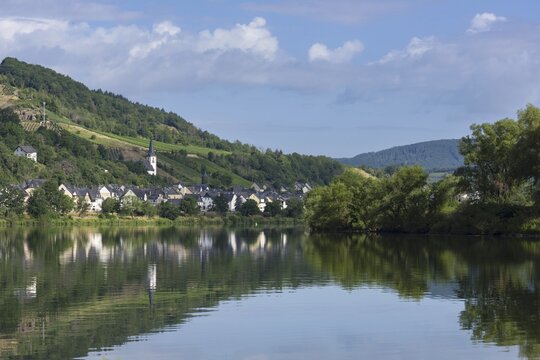 The wine village of Briedel on the Moselle, Cochem-Zell district, Rhineland-Palatinate, Germany