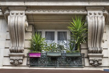 Balcony with plants, classicist building, Montparnasse, Paris, France