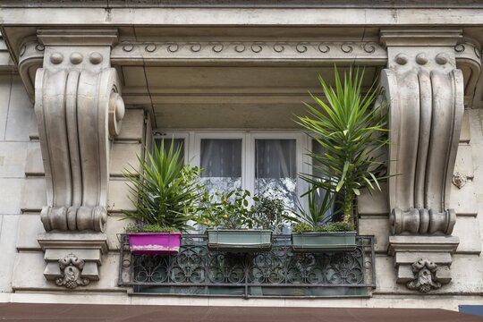 Balcony with plants, classicist building, Montparnasse, Paris, France