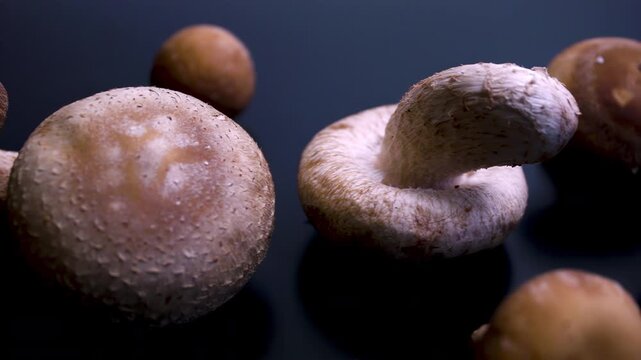 Camera sliding through scattered fresh Shiitake mushrooms (Lentinula edodes) on dark reflective surface. Cinematic low key dolly shot revealing textures and depth of field. Premium food B-roll.