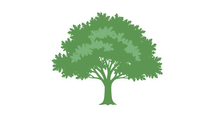 Fototapeta premium Green tree silhouette against white backdrop symbolizing nature's resilience and quiet beauty