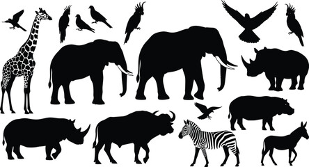 African animal silhouettes, bird and beast collage, wildlife diversity, black and white design, nature icons, safari illustration, fauna art