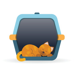 Cat sleeping in a carrier bag 