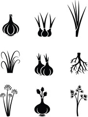 Black silhouette onion plants and roots collection, botanical herb icons, vegetable illustration set for farming, gardening, agriculture design