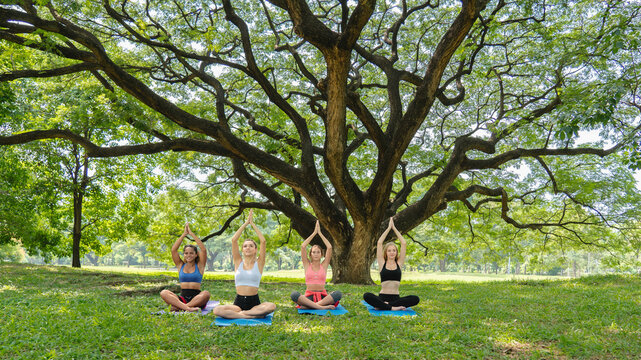 Four focused partners sit in a yoga pose beneath a huge tree, structural foundation, shared aspiration, mental clarity, and collective, stable growth.