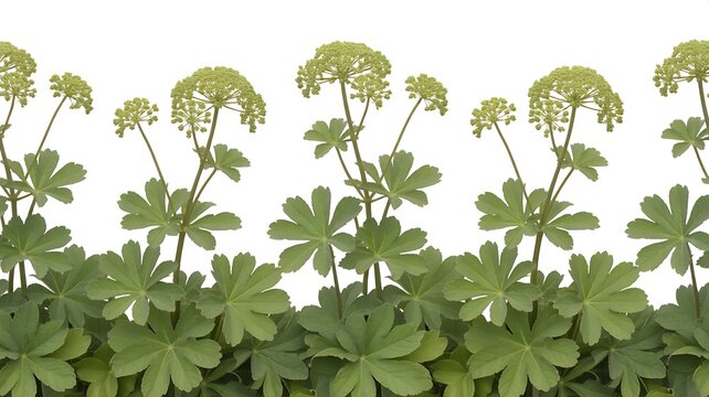 A repeating pattern of delicate green foliage and clusters of small yellow flowers against a clean white background