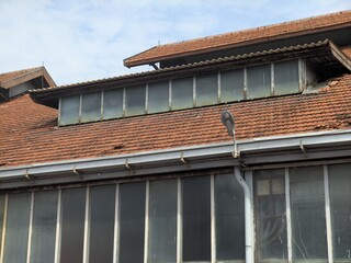 The characteristics of the roofs of Dutch heritage buildings include the shape of a pyramid or shield roof, often equipped with a large attic for hot air circulation, and have wide eaves or eaves to p