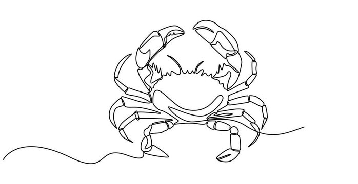 Marine armored horseshoe crab and waves, animated self drawing of single continuous line, continuous contour movement, video drawing of line in 4k, xiphosurida, biological oceanography, one line