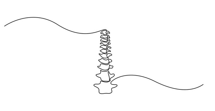 Animation video  spine, Continuous one line drawing bones of human hand.  Wrist bones in single line art Animation video . Chiropractor spine. Continuous one line drawing on Animation video 