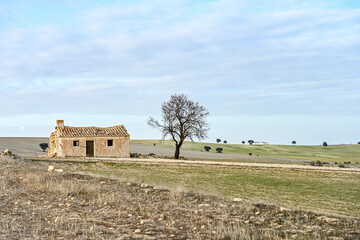 Obraz premium Small rural house in the cereal fields of the Geopark of Granada.