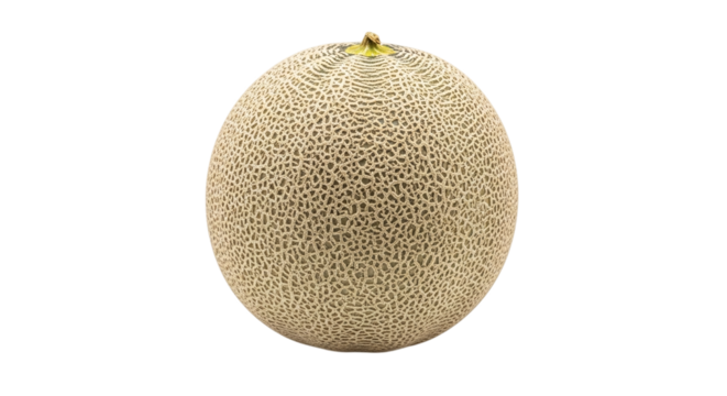 Closeup of a cantaloupe melon isolated on transparent background, showcasing its textured rind and round shape, perfect for illustrating healthy eating and fresh produce