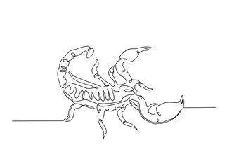 Continuous line art drawing of scorpion animal. Scorpio line art illustration. Editable stroke.